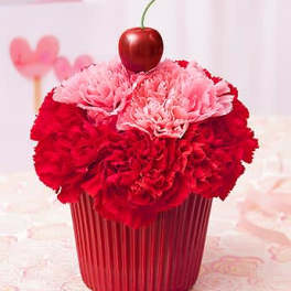 Cupcake For Your Cupcake