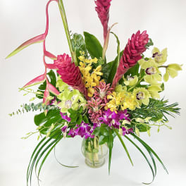 Orchids Galore