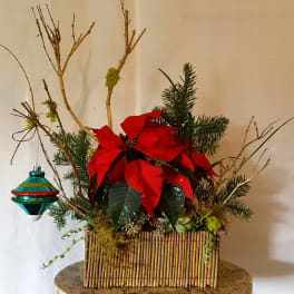 Poinsettia arrangement in a wicker basket with a hanging ornament