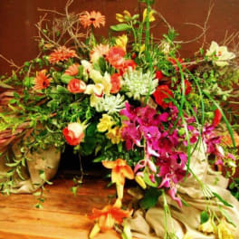 Large mixed floral arrangement with orchids and daisies in a low container