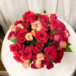 Bountiful Roses