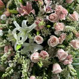 Pink tribute