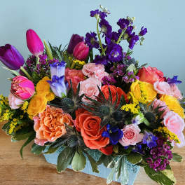 Bright Seasons