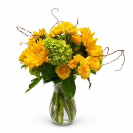 Yellow flowers arranged in a clear glass vase