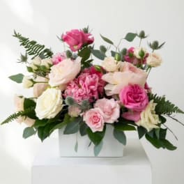 Pink and white rose arrangement in a white box