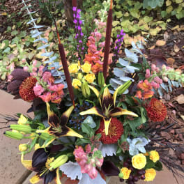 Vibrant Autumn Mix