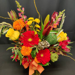 Bold daisy small fall mix