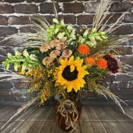 Fields Of Fall