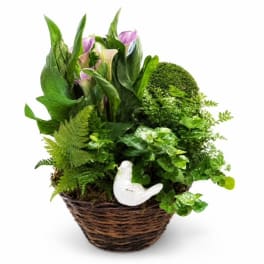 Basket planter with purple calla lilies and assorted green plants, plus a white bird figurine