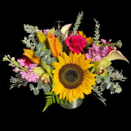 Sunshine symphony