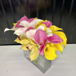 Pink, white, and yellow calla lilies arranged in a clear square vase