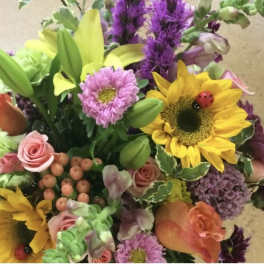 DESIGNERS CHOICE-Spring