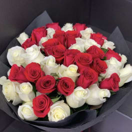 Red and white roses