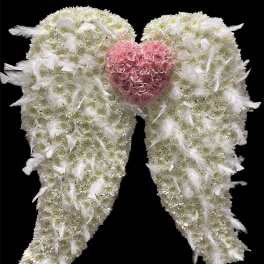 White floral angel wings with a pink rose heart center