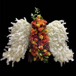 Colorful floral arrangement with white feathered wings on a black background