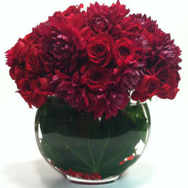 Roses and Dahlias