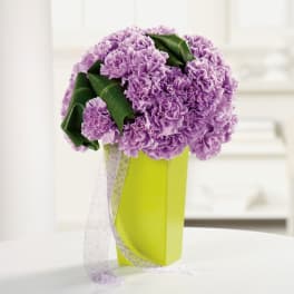 Purple carnation bouquet in a lime green box with a sheer ribbon