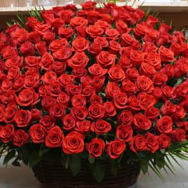 Large basket arrangement of red roses