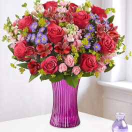 Bouquet of red and pink roses in a purple vase