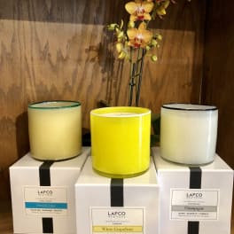 Three scented candles with an orchid stem behind them