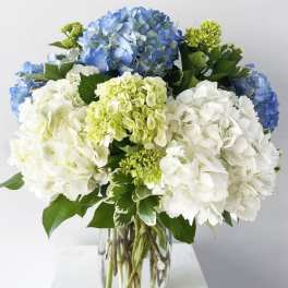 Blue and white hydrangea bouquet in a clear glass vase