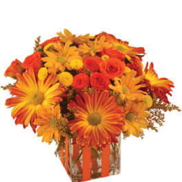 Orange and yellow mixed flower bouquet in a clear square vase