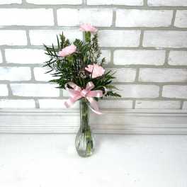 Pink Carnation Vase