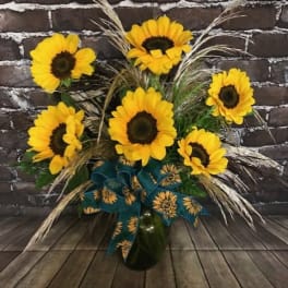Fields of Sunshine