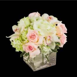 Elegant by BloomNation™