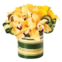 Sunshine: Yellow roses with cymbidium orchids. $80.00