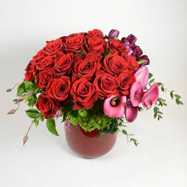 Love Knows No Bounds