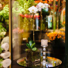 Tall white orchid plant in a clear glass cube vase beside a glass candle holder on a mirrored surface