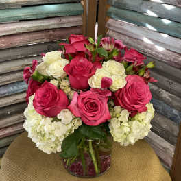 25-101