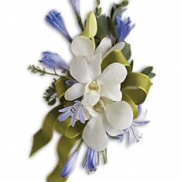 White orchid corsage with blue accents and green ribbon