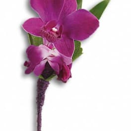 Purple orchid boutonniere with green leaves