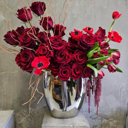Cassandra