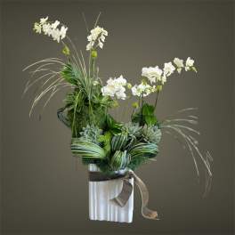 White orchid arrangement in a white vase with succulents and ribbon