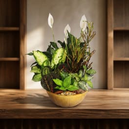 Potted houseplant arrangement with white peace lilies in a yellow bowl