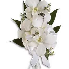 Corsage - Graceful Orchids