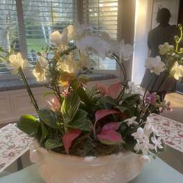 Low white ceramic planter with white orchids and pink tropical flowers indoors