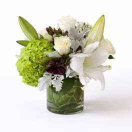 Timeless Elegance