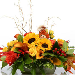 Sunflowers and Calla box