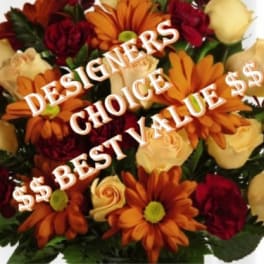 Fall Designers Choice 50