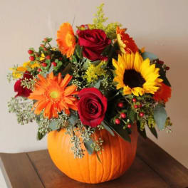 Fall Pumpkin