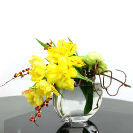 Tulips