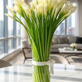 Tall bouquet of white calla lilies in a clear glass vase with a ribbon