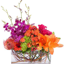 Powerfully Prismatic