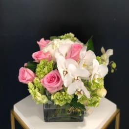 Taste of Elegance