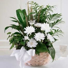 White daisy bouquet in a woven basket with a white ribbon
