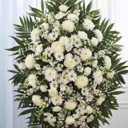 White Standing Spray